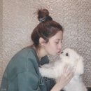 서현펫# 이미지