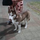 임당근린공원 이미지