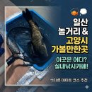 실내낚시카페 고양시 가볼만한곳 일산놀거리 추천 놀이터실내낚시카페 화정역점 후기