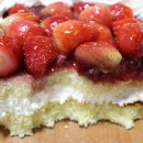 트라이플 이미지