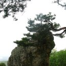 여주온천삿갓봉 이미지