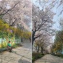 낙성대동-22 | &lt;240405 색다른 경험&gt; 제22대 국회의원 사전선거 투표참관인 후기