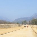 대야산자연휴양림 이미지