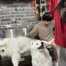 겨울이 머무는 집 이미지