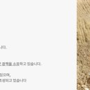 수목토일라이트 이미지