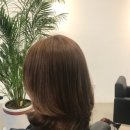 다온헤어 이미지