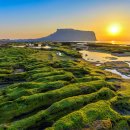 리틀프린스 관광호텔 이미지