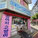 BOB애견용품