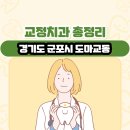 금강프라자(도마교동) | 경기도 군포시 도마교동 교정치과 총정리