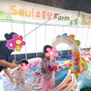 (주)아이들팜 이미지