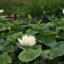 초록지기마을 이미지