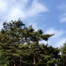 몽마르뜨 이미지