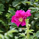 그바다에 가면 이미지