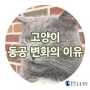서창사랑동물병원 이미지