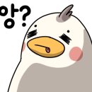 덕의초등학교 이미지