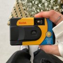 데이라이트 | 코닥 일회용 필름카메라 펀세이버 데이라이트 비교 인화 후기