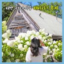 두메산골 | 강원도 태백 가볼 만한 곳 구와우마을 해바라기축제 아쉬움
