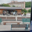 포인트우드사인 | 네스타리조트 고베 숙박 후기 — 네이처 트리플 1박 2일