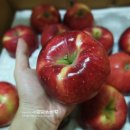 태봉유통