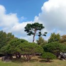 정오농수산 이미지