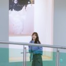 뽀블리 이미지
