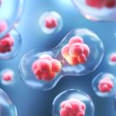 이화미즈산부인과의원 이미지