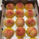 경기도 수원시 권선구 세권로 185 이미지