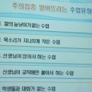통일샘 Daum카페
