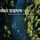 장수돌침대;다우닝;동서가구
