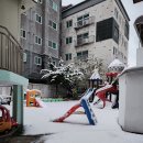 ❄️첫눈이 왔어요☃️/점심식사/미숫가루를 타먹어요 이미지