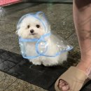 칠이공 이미지