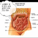 알흔섬 부르칸 바위 이미지