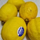 청대농장 이미지