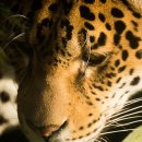 참사랑농원 이미지