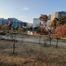 길잡이부동산공인중개사사무소 이미지