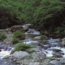 동양열쇠 - 익산시 익산대로 86-1 | 동양열쇠
