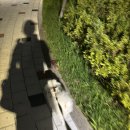 건우세차장 이미지