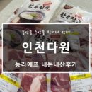 팜팜미트 이미지