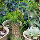 가온하우스 이미지