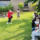 블리스독 이미지