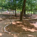 단장체육공원 이미지