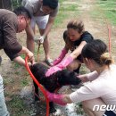 연일농장 이미지