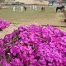 블루홀스 승마센터 이미지