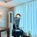 하은쇼핑몰 네이버블로그
