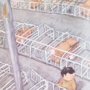 돈돈농장 이미지