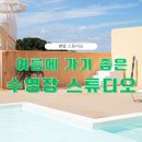 [렌탈스튜디오] 여름에 가기 좋은 수영장 렌탈 스튜디오 모음 - 오프닝 스튜디오, 달트빌라
