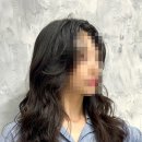 브로시스 이미지