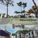 쏠미라벨 이미지