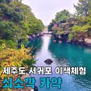 쇠소깍농산물직판장 | [제주도/서귀포] 이색 체험 즐기기 ‘쇠소깍 카약‘ (후기, 예약 방법)