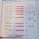 차오르다의원 | 일산 마리아의원 시험관 1차 자궁외임신 판정 후기｜MTX 주사 치료·국민행복카드 임신출산지원비 신청까지